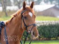 BP200326-9 - It's Hard To Know